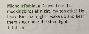 MichelleRobinLa: Do you hear the mocking birds at night, my son asks? No, I say. But that night I wake up and hear them sing under the streetlight. 