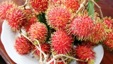 Rambutans or chôm chôms in Vietnamese.