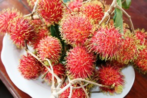 Rambutans or chôm chôms in Vietnamese.