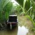 Boat in a stream on Cồn Tàu (Ship Island) in the Mekong Delta.