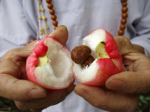 The white spongy flesh inside a bellfruit holds a dark seed.